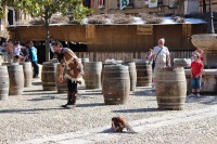 /album/fotogaleria-jornadas-medievales-2013-briones-la-rioja-/a704852-4831626949497-221153578-o-jpg/